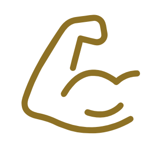 icon3